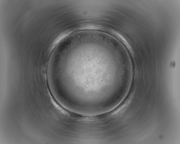 X0000094961433200711291430
