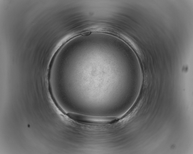 X0000094961434200711291430