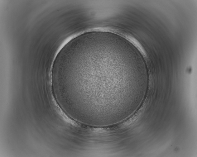X0000094961436200711291430