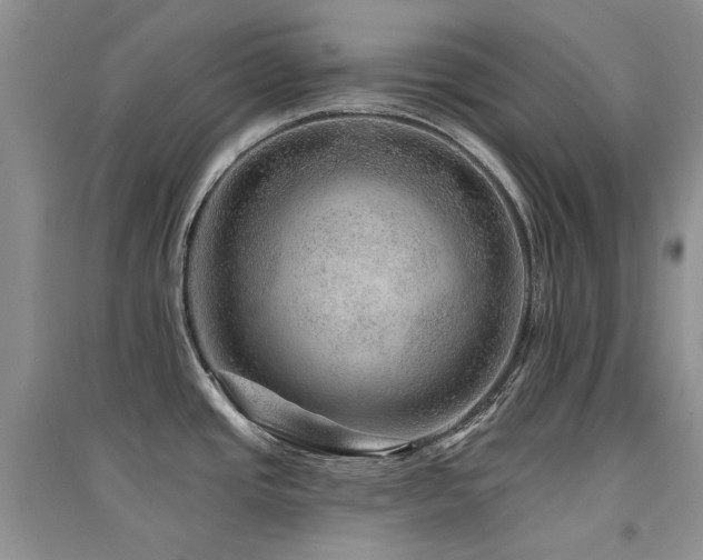 X0000094961437200711291430