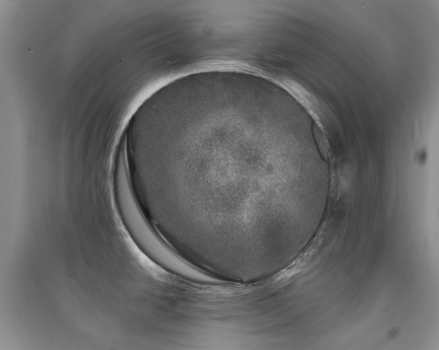 X0000094961438200711291430