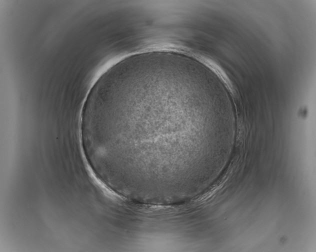 X0000094961439200711291430