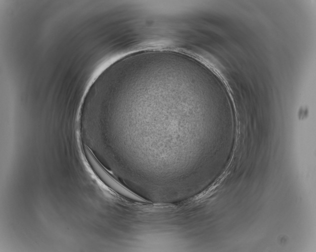 X0000094961440200711291430