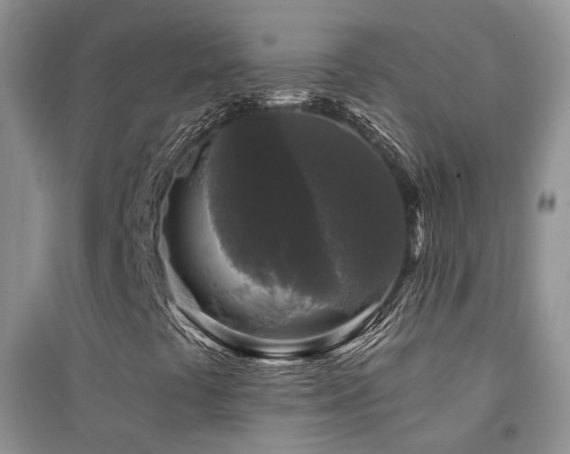X0000094961441200711291429
