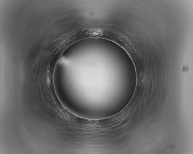 X0000094961442200711291429