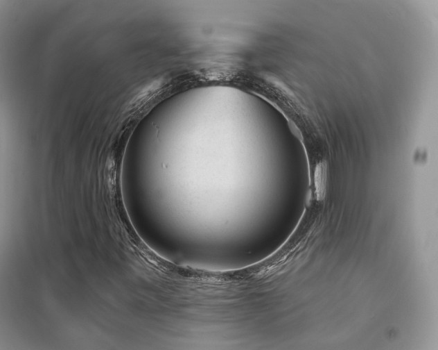 X0000094961443200711291429