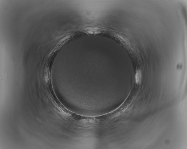 X0000094961444200711291429