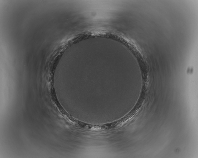 X0000094961445200711291429