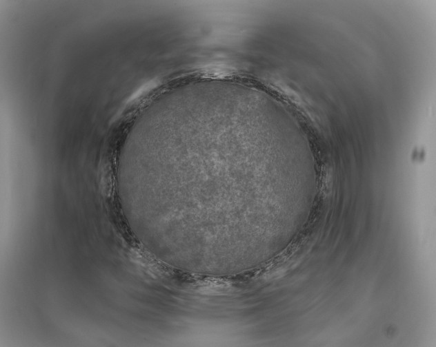 X0000094961446200711291429