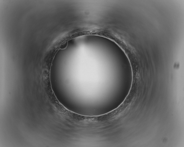 X0000094961447200711291429