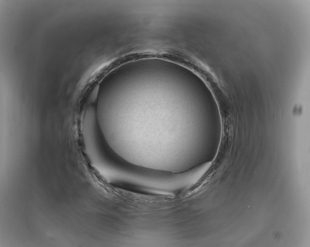 X0000094961448200711291429
