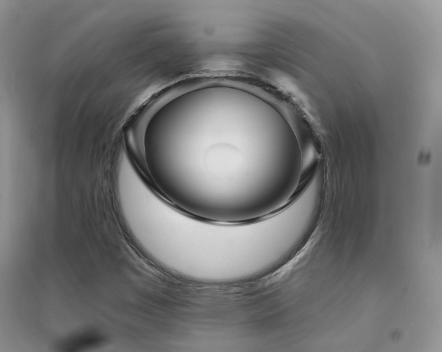 X0000094961449200711291429