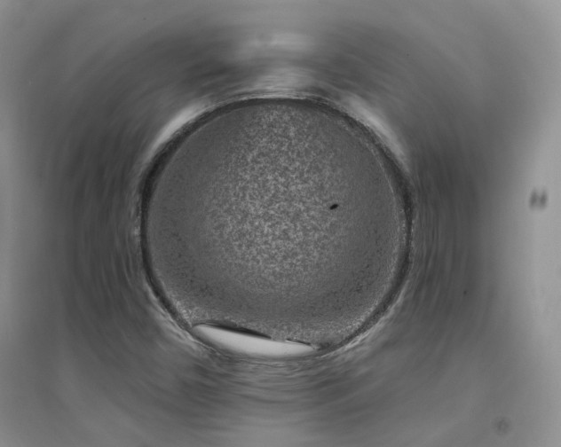 X0000094961450200711291429