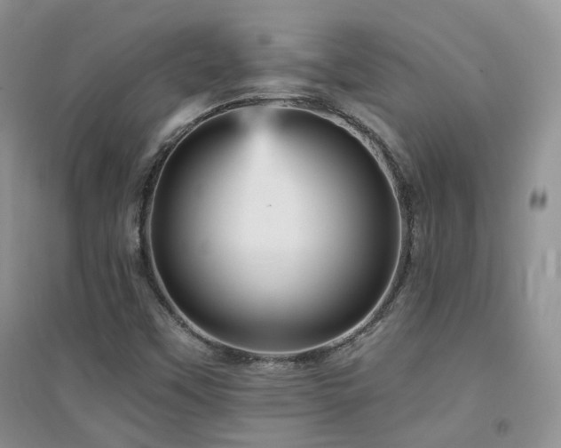 X0000094961451200711291429