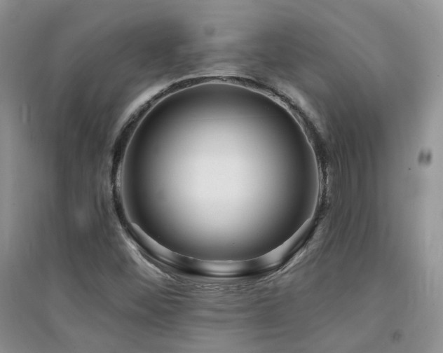 X0000094961452200711291429