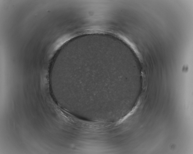 X0000094961453200711291429