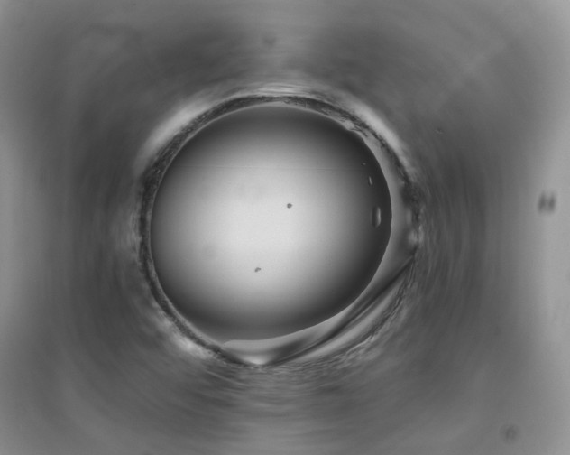 X0000094961456200711291429