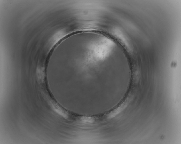 X0000094961457200711291429