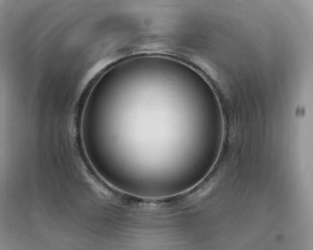 X0000094961458200711291429