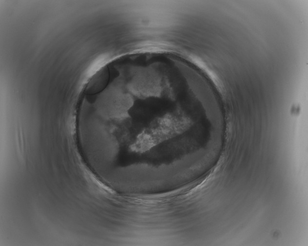 X0000094961459200711291429