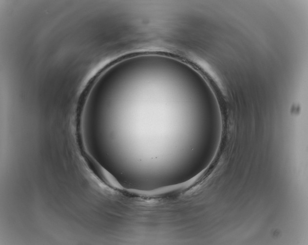 X0000094961460200711291429