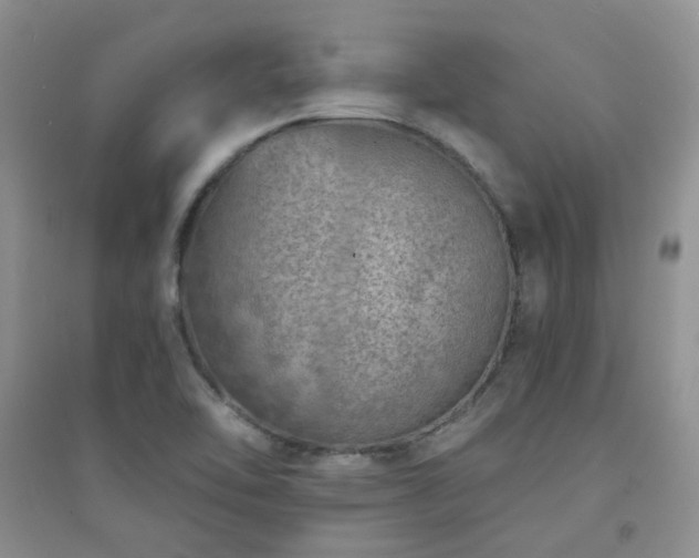X0000094961462200711291429