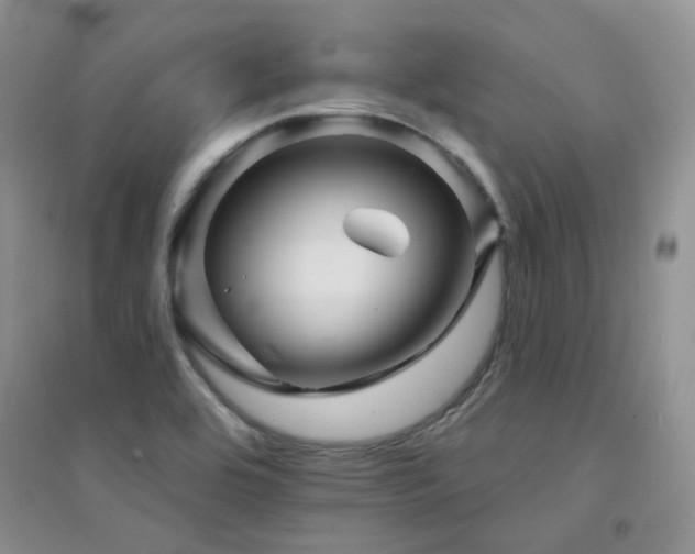 X0000094961464200711291429