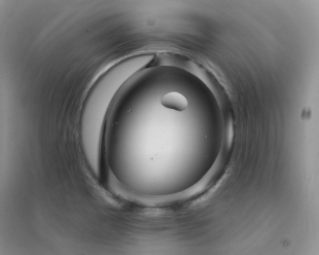 X0000094961465200711291429