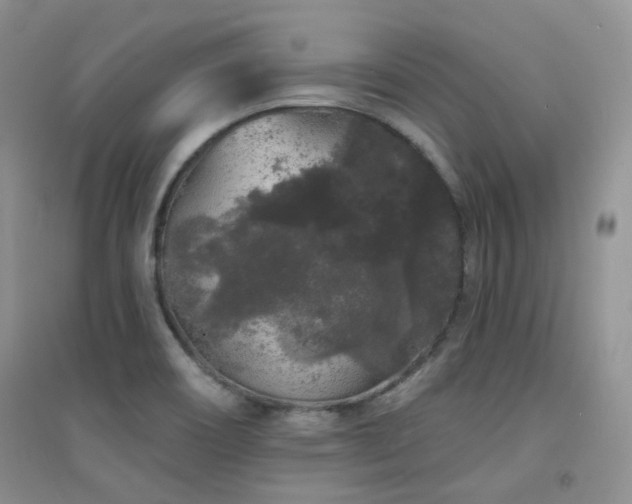 X0000094961466200711291429