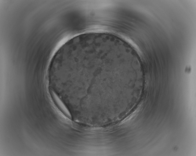 X0000094961467200711291429