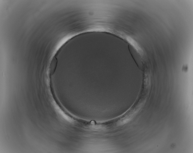 X0000094961468200711291429