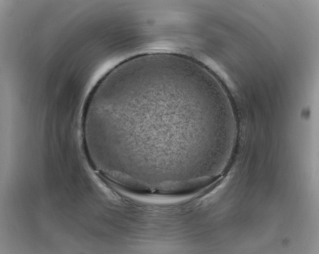 X0000094961469200711291429
