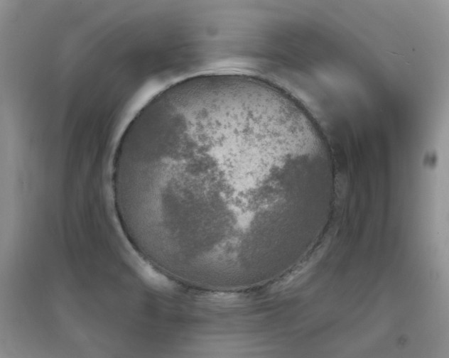 X0000094961470200711291429