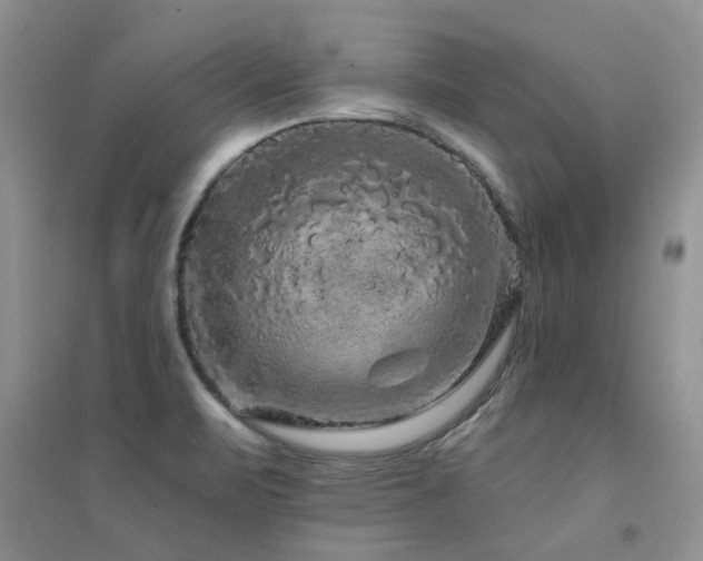 X0000094961471200711291429
