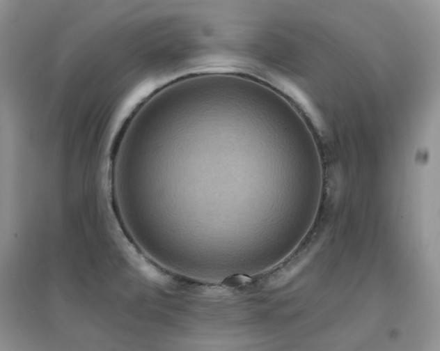 X0000094961472200711291429