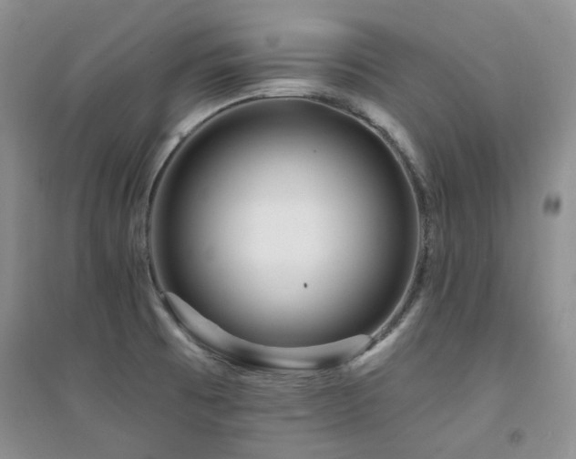 X0000094961473200711291429