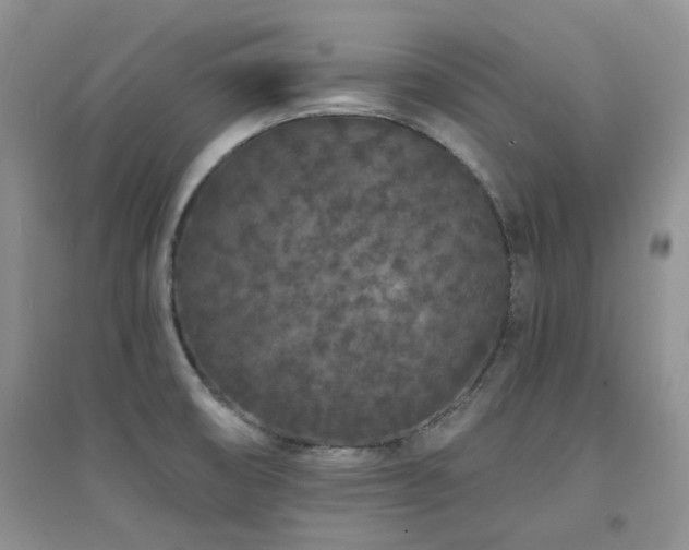 X0000094961474200711291429