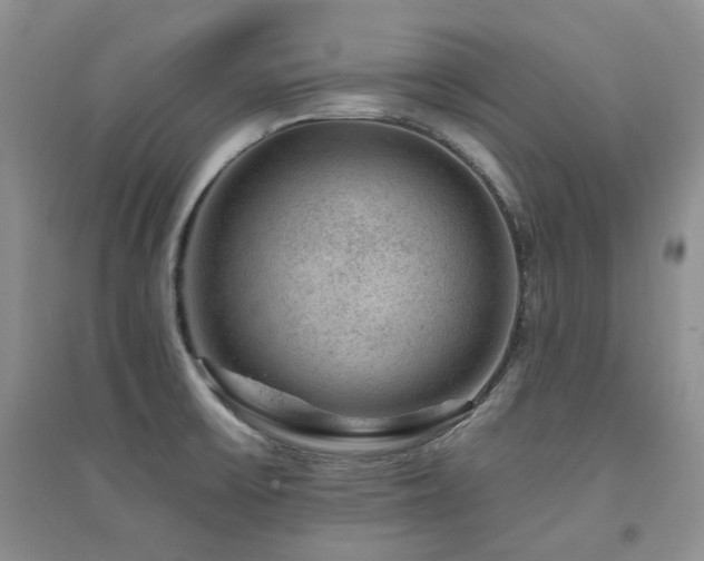 X0000094961475200711291429