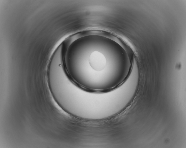 X0000094961476200711291429