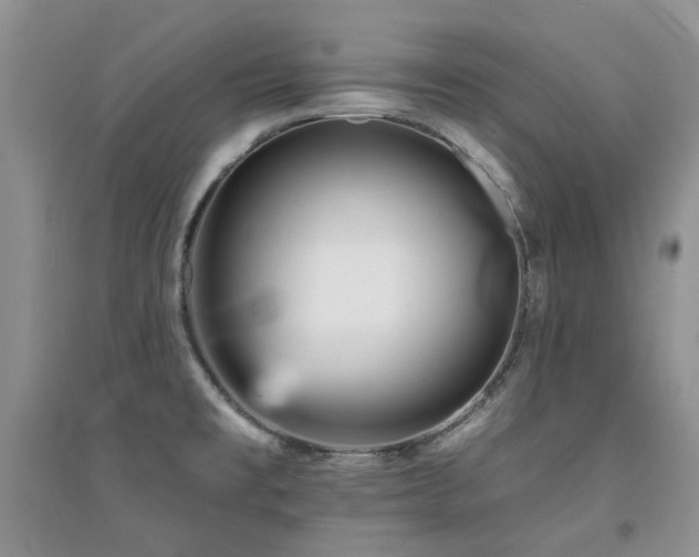 X0000094961477200711291429