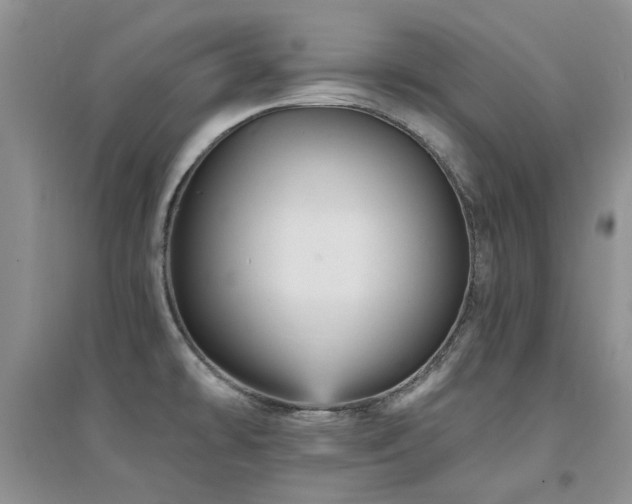 X0000094961478200711291429