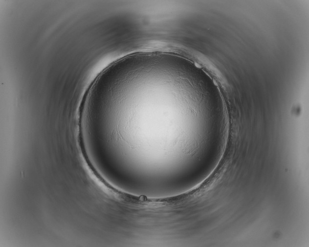 X0000094961479200711291429