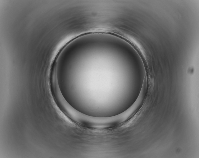 X0000094961480200711291429