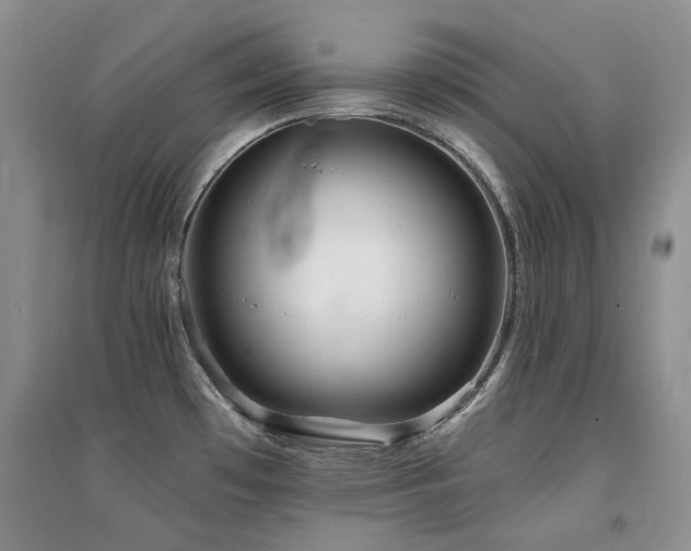 X0000094961481200711291429