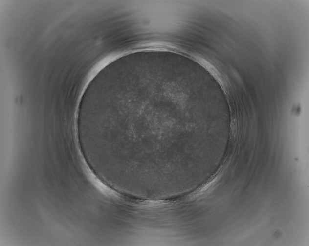 X0000094961482200711291429