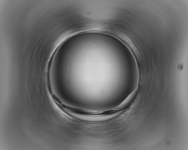 X0000094961483200711291429