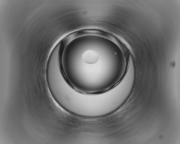 X0000094961484200711291429