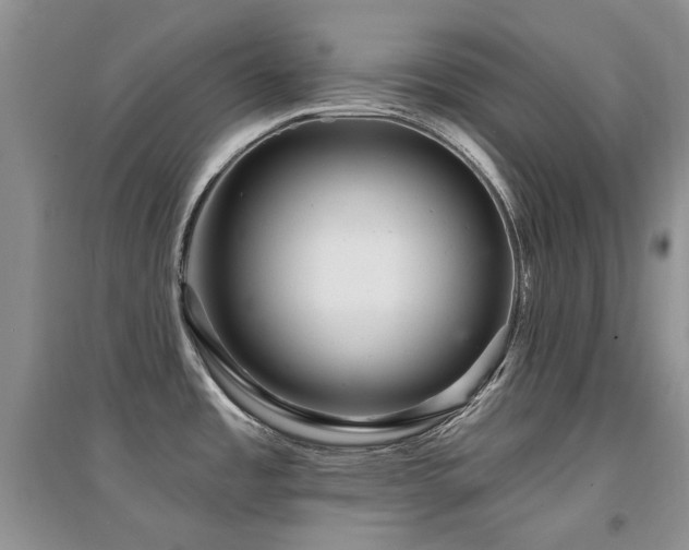 X0000094961485200711291429