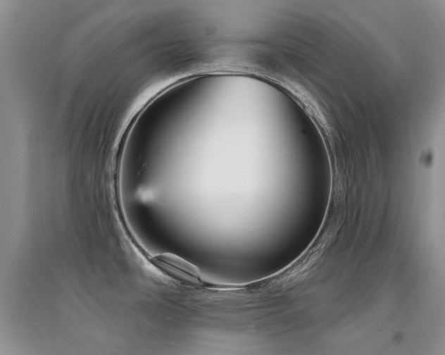 X0000094961486200711291429