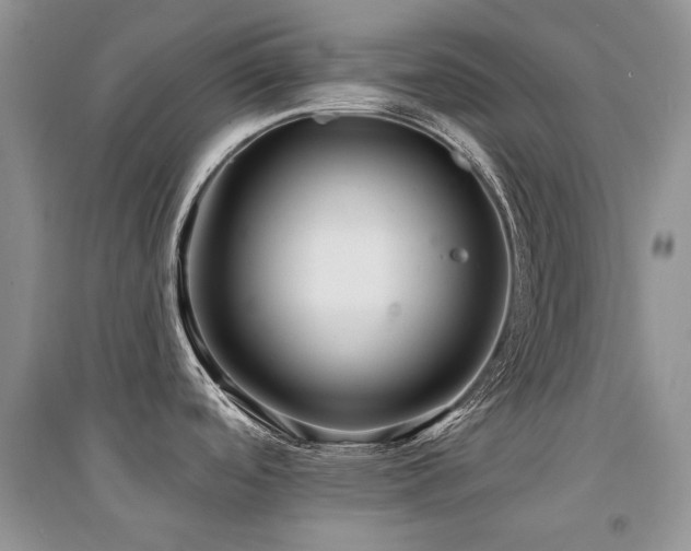 X0000094961488200711291429